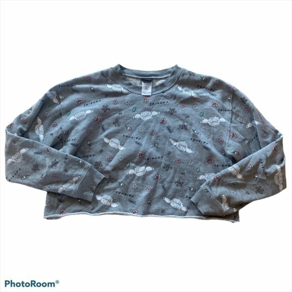 Friends themed Central Park cropped sweatshirt